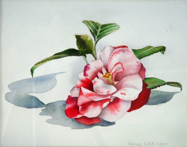 Camellia 1