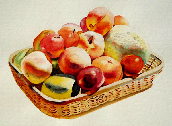 Fruit Basket Study